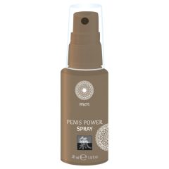   HOT Shiatsu Penis Power - stimuláló intim spray férfiaknak (30ml)